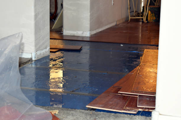 Professional Water Damage Restoration technician working in Clear Creek, WV